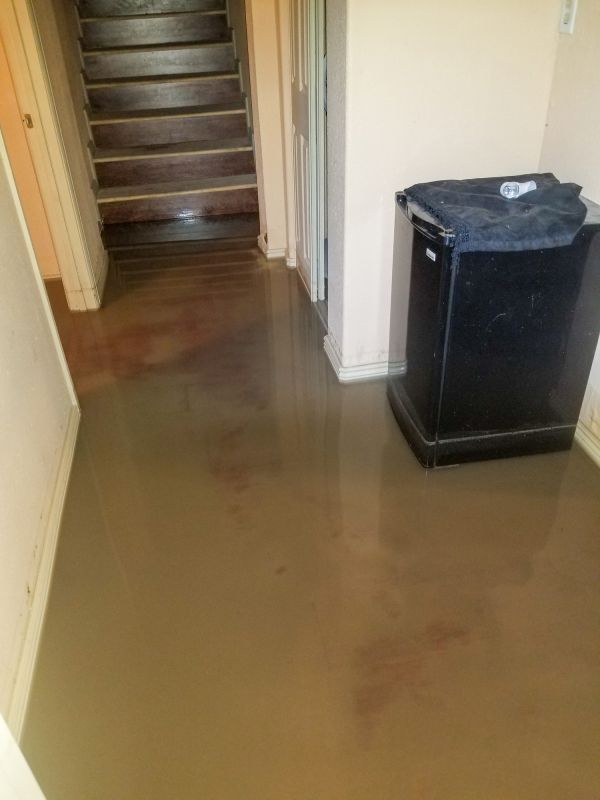 Basement Water Extraction in Mesa, AZ