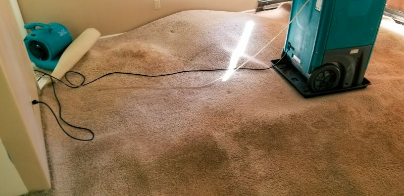 Basement Water Extraction in Santa Rosa, CA