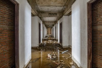 Moisture Removal Service in Chandler, AZ