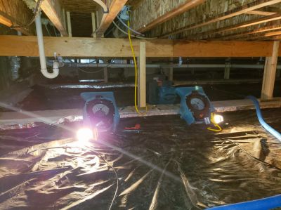 Basement or Crawlspace Dry Outs