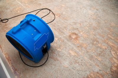 Basement Drying and Dehumidifying