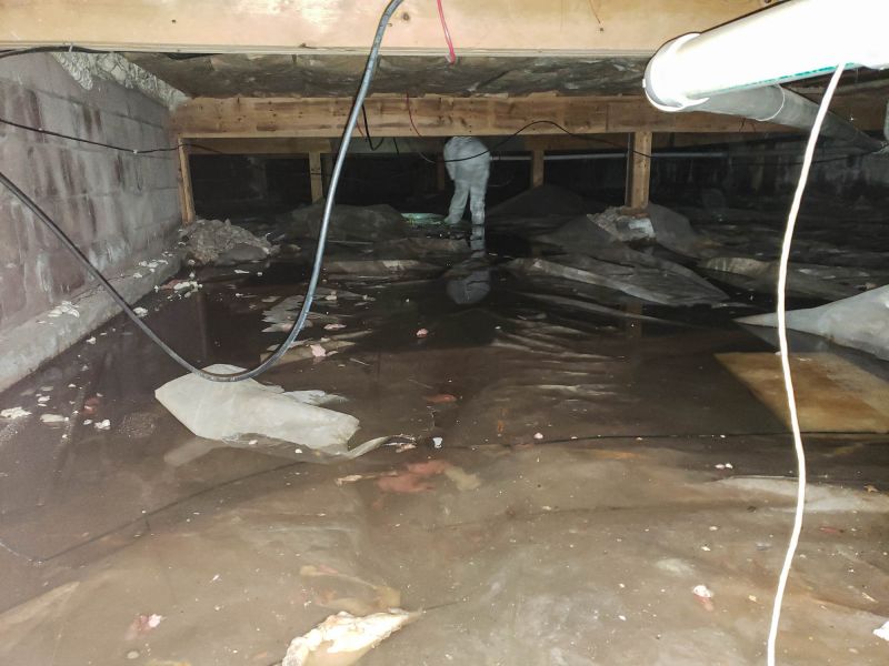 Contact About Flooded Basement Dryouts